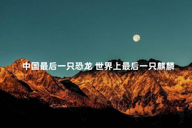 中国最后一只恐龙 世界上最后一只麒麟